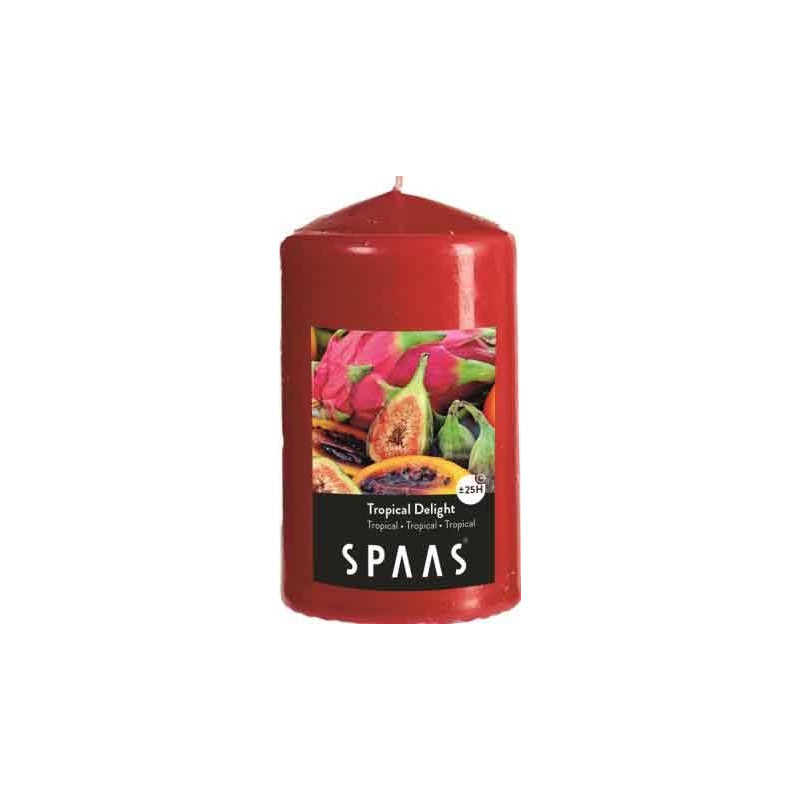 Bougie Cylindre parfumée délice tropical 10 cm