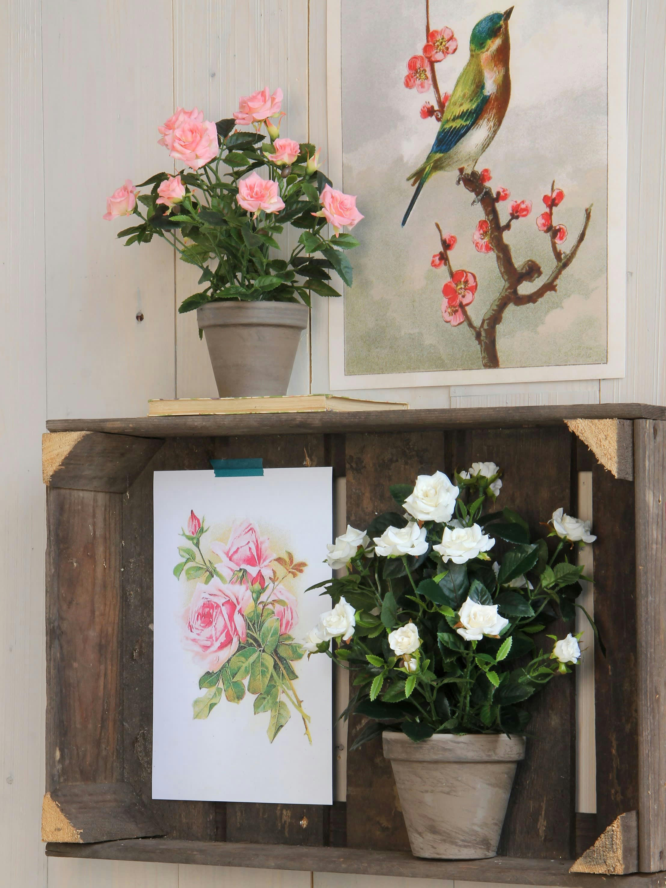 - Rosier artificielle blanches en pot H33