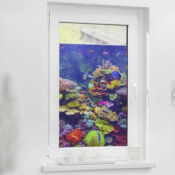 Fensterfolie, Polyvinylchlorid (PVC), Format: 50 x 100 cm (B x L) cm