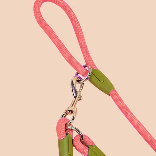 SOGA 220cm Multifunction Hands-Free Rope Pet Cat Dog Puppy Double Ended Leash for Walking Training Tracking Obedience Pink