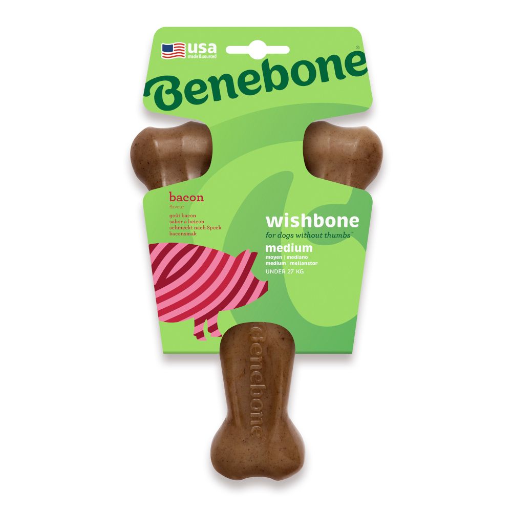 Benebone Wishbone Bacon