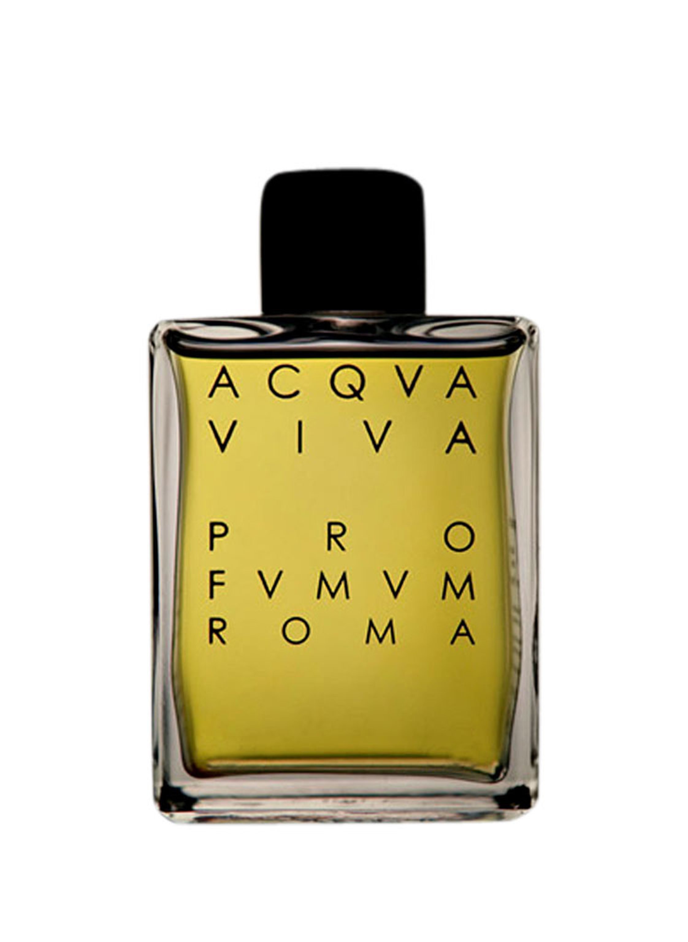 PROFVMVM ROMA ACQVA VIVA