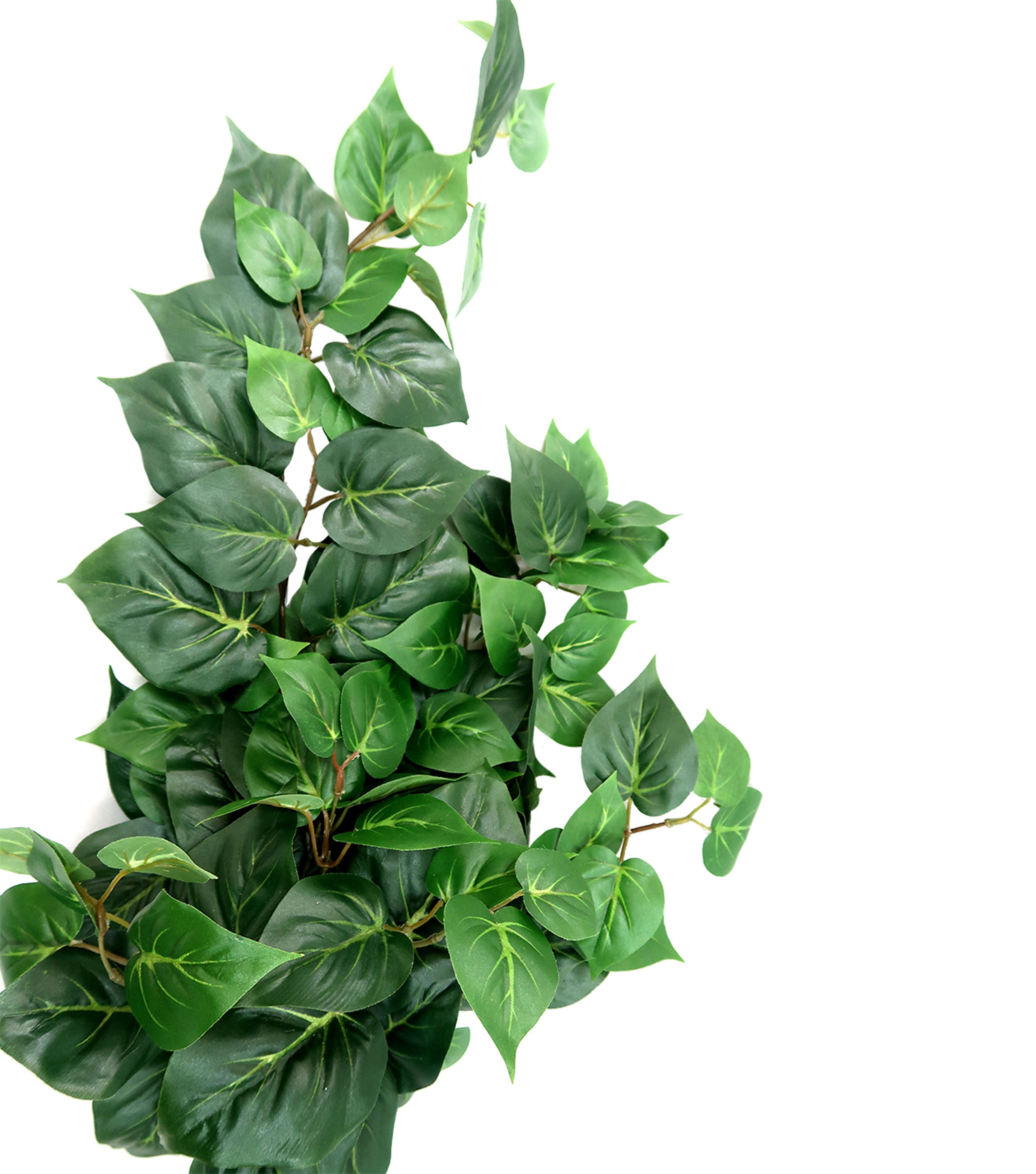 30 Hanging Puff Philo Bush by Bloom Room