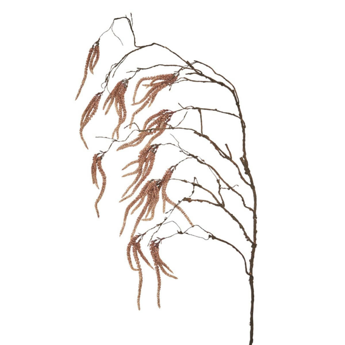 - Branche d'amaranthus tombante H139