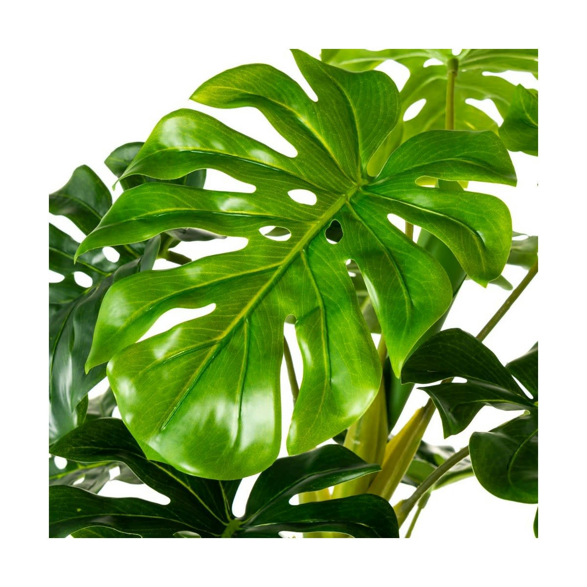 MONSTERA - Plante artificielle d'intérieur monstera H100cm