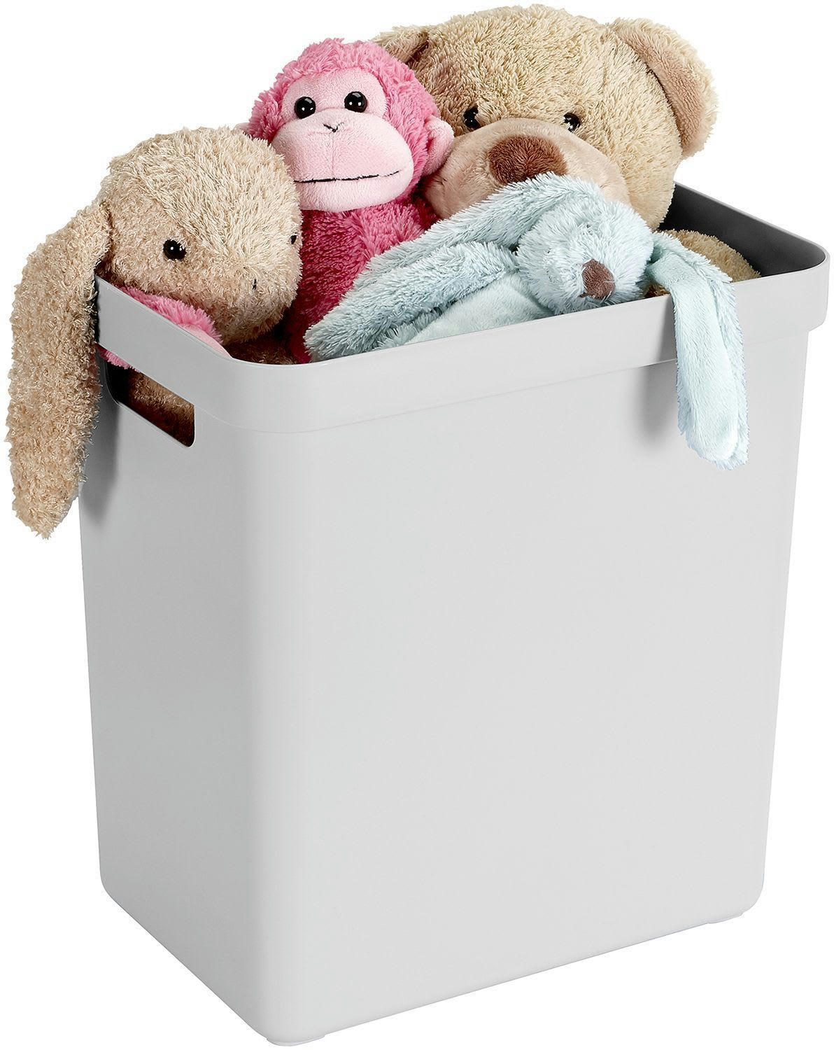 - Boite de rangement sigma home box 25 litres