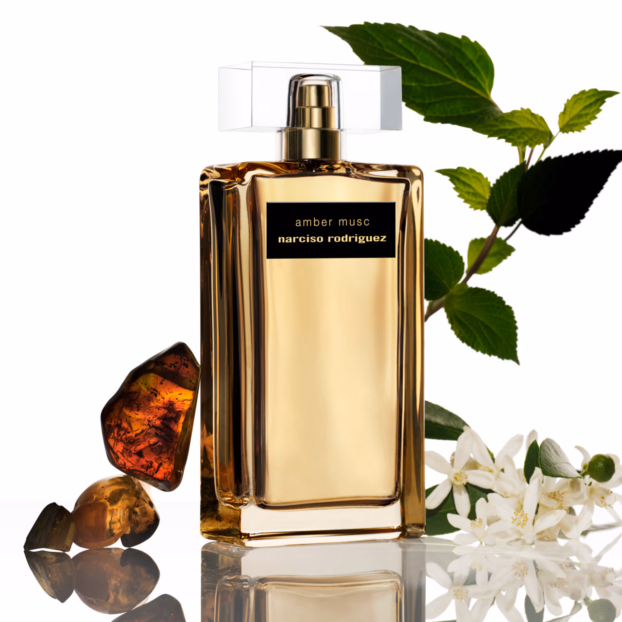 MUSC COLLECTION - AMBER MUSCEau de parfum intense