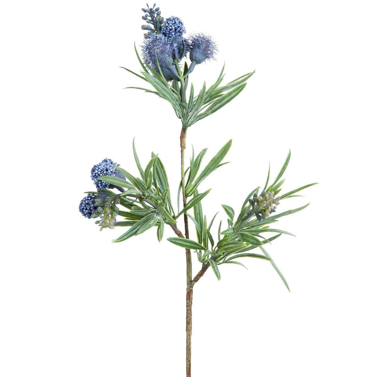 - Tige de fustet commun H45