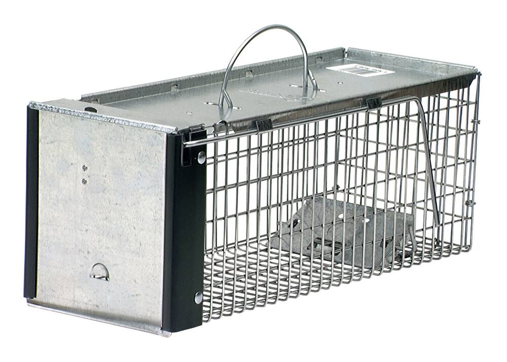 Havahart X-Small One-Door Live Animal Cage Trap for Chipmunks, Squirrels, Rats, Weasels