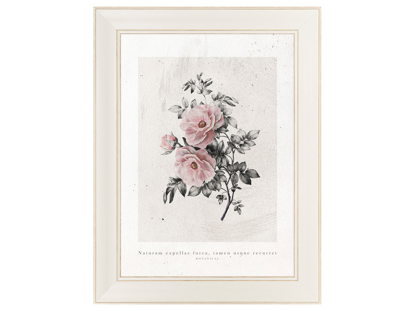 Obraz w ramie Aged Roses Art. No.1 63x83 cm