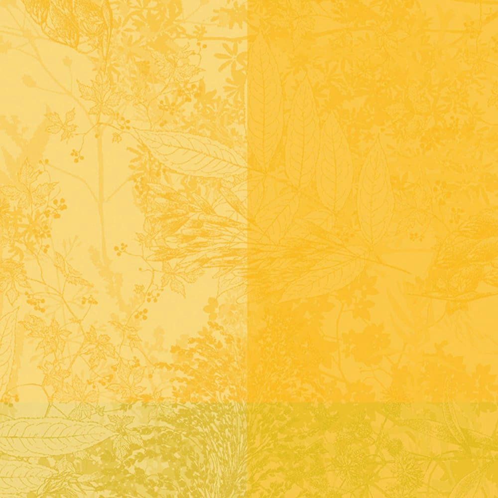 MILLE ESPRIT JARDIN SOLAIRE - Serviette  pur coton jaune 55x55