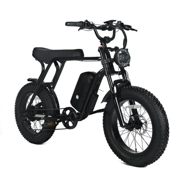 Electric Mountain Bike for Adults | 20 x 4.0 Fat Tires, 1000W Motor, 48V 20Ah Removable Battery, Max Speed 45MPH, Shi Mano 7-Speed for Off-Road Adventures(Black/1000W)