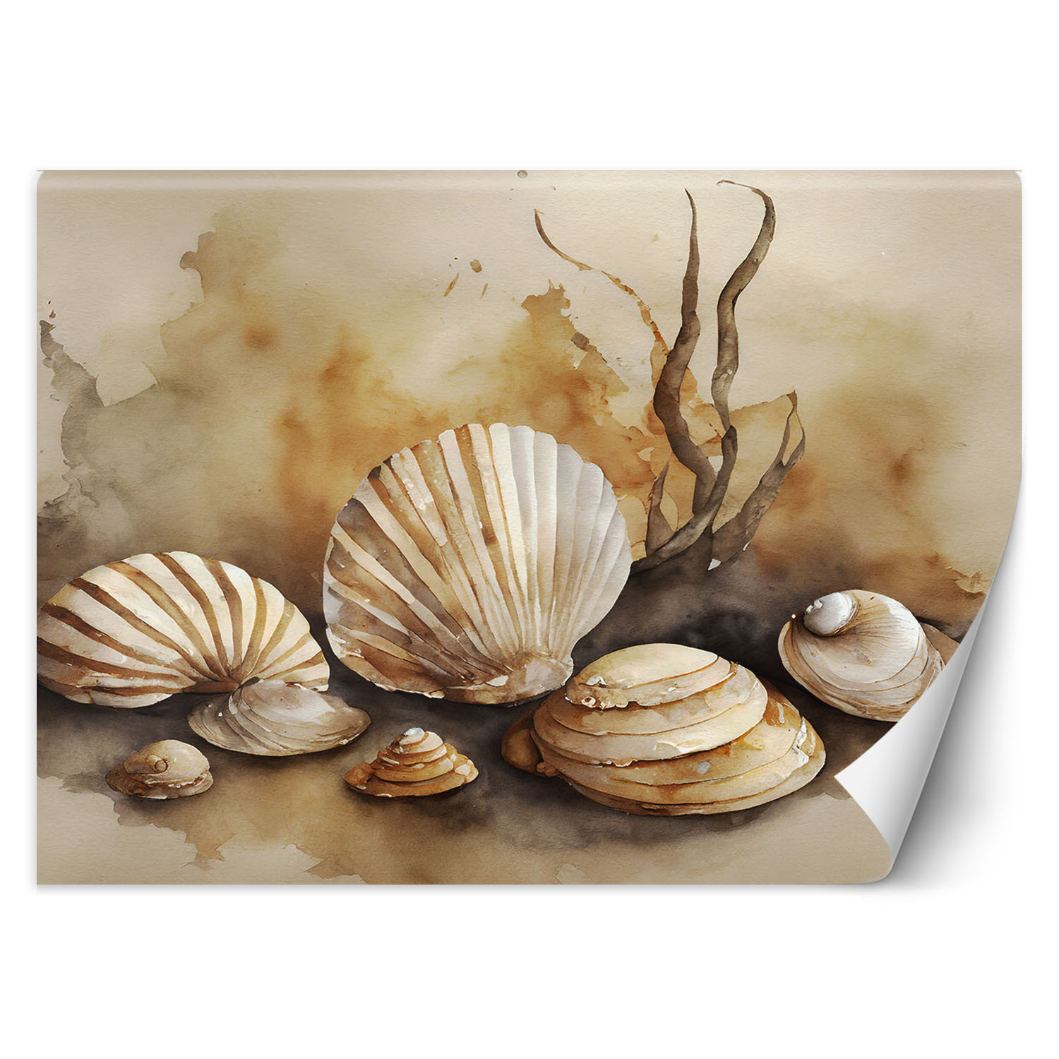 Feeby Fototapeta, marynistyczny muszle akryl 150x105