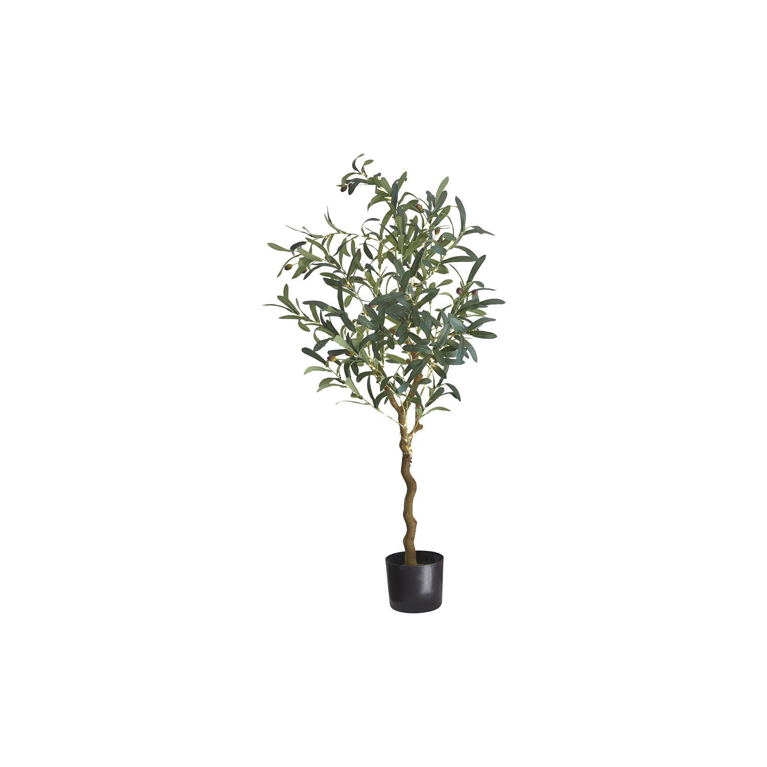 Oliva Oliventr&aelig;, 120 LED