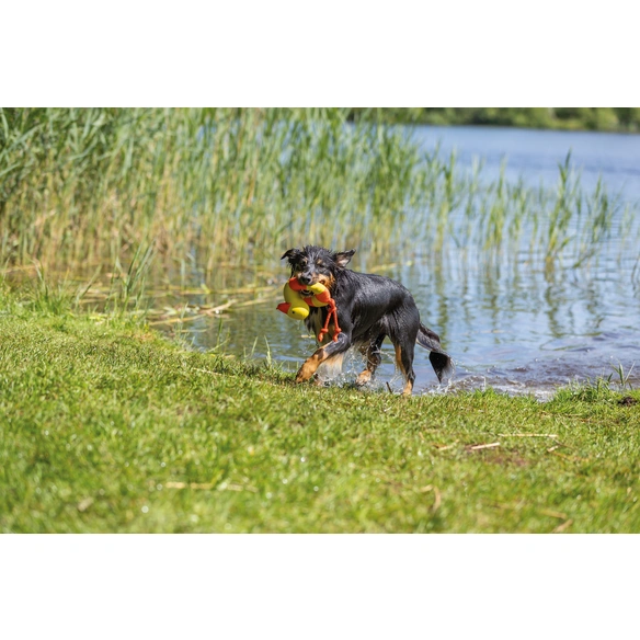 Hundespielzeug, 20 cm/36 cm, schwimmt/floatable, gelb/orange