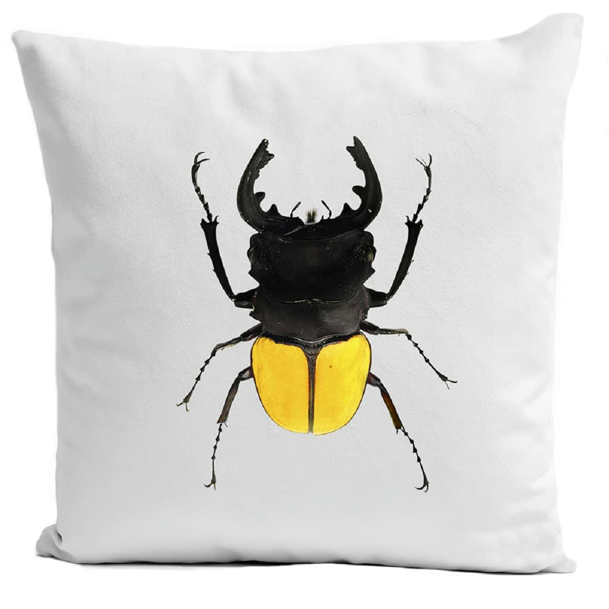 - Coussin insecte cabinet de curiosité suédine blanc 40x40cm