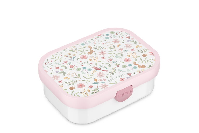 lunchbox campus - fairy wonders