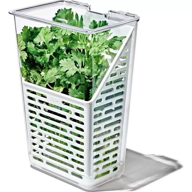 Frischhaltedose Produce Saver