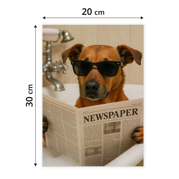 Plakat Pies w wannie 20x30cm
