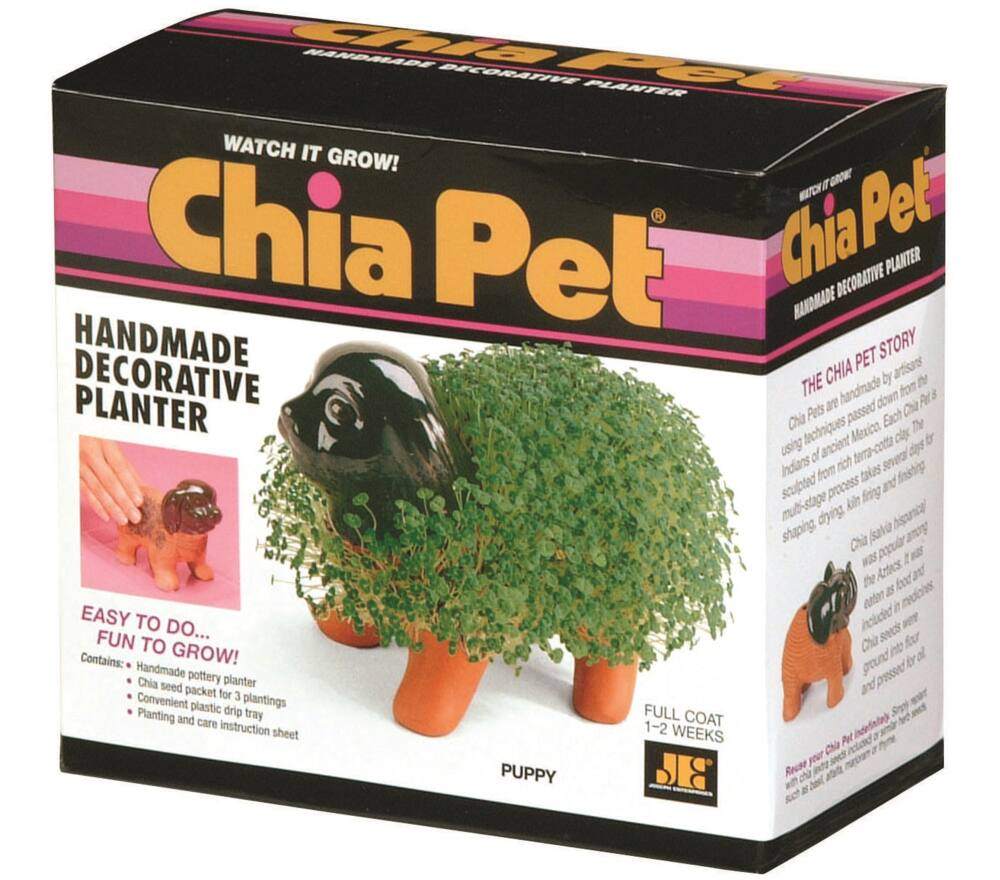 Chia Pet, Decorative Pottery Planter, Assorted, Novelty Gift