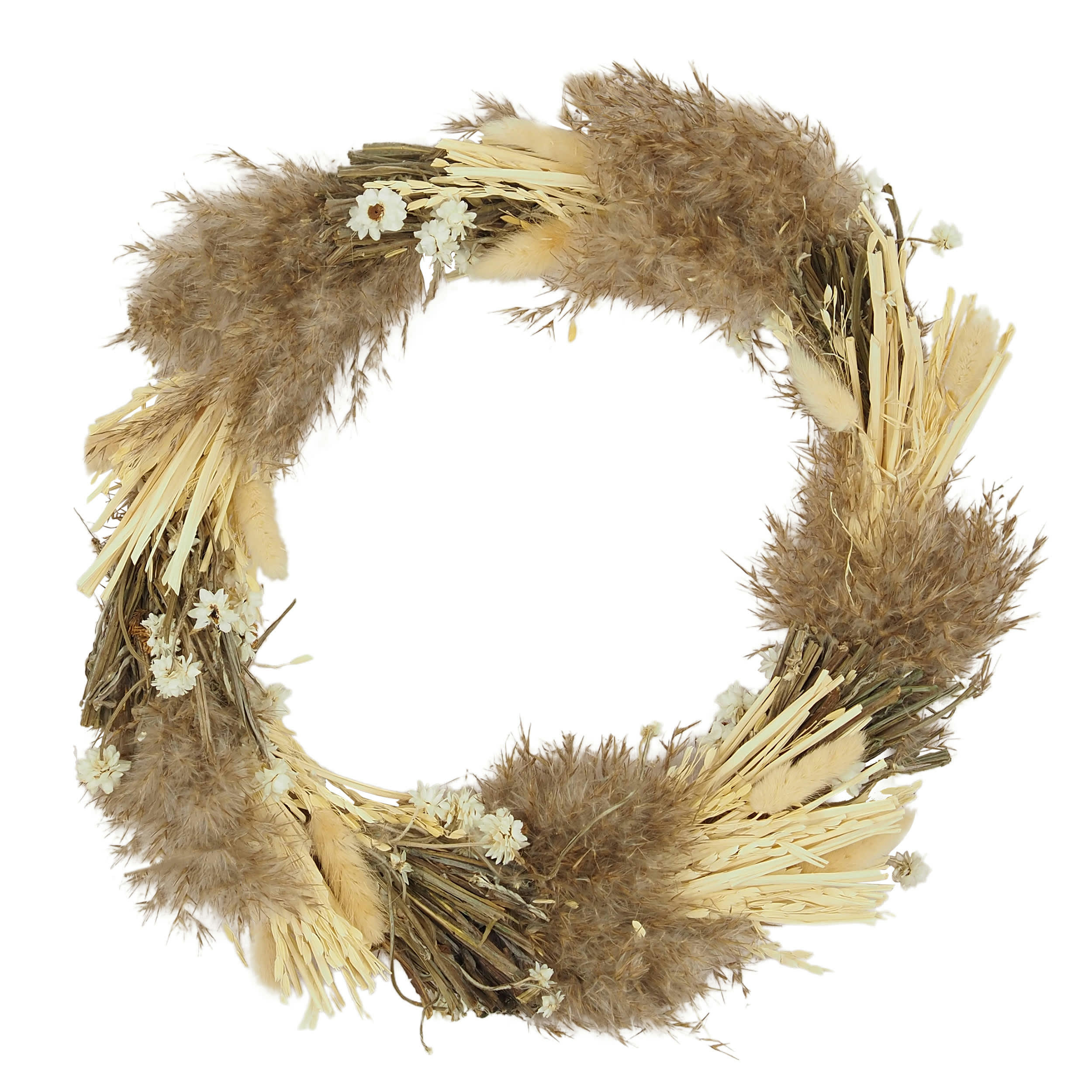 - Couronne de fleurs séchées lagure et pampa D35cm