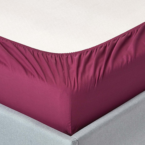 Drap-housse prune 100% coton égyptien 200 fils 180 x 200 cm - HOMESCAPES