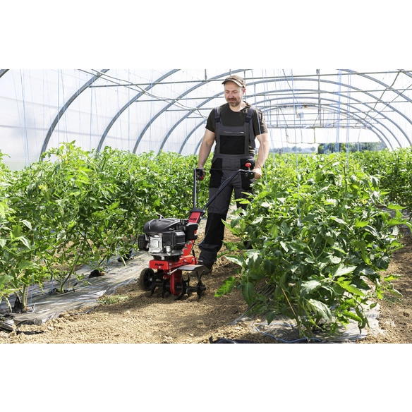 Benzin-Motorhacke »Easy«, 2,2 kW