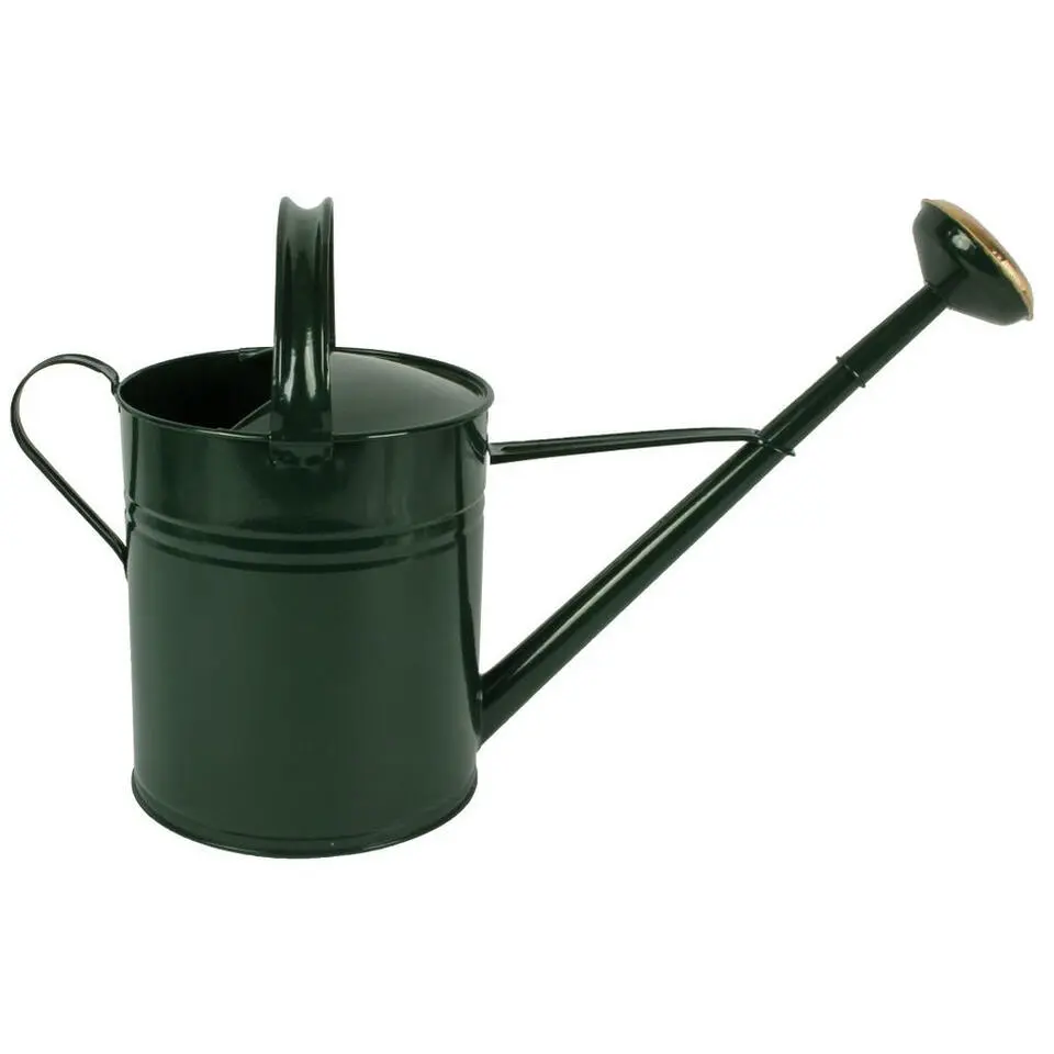 Talen Tools Gieter - groen - goudkleurige broeskop - metaal - 10l