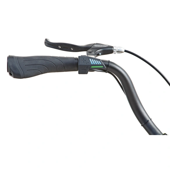 E-Bike City »Genießer 1.0«, 28 Zoll, Frontmotor 36 V, 3-Gang, schwarz