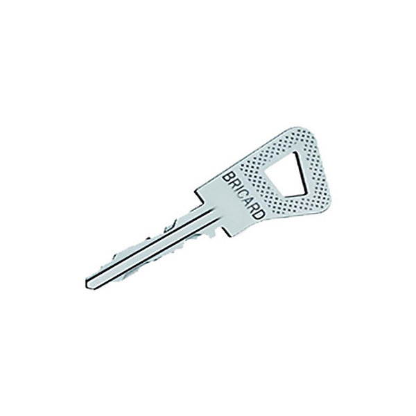 Cylindre monobloc ovoïde BLOCTOUT 33x33mm inox - BRICARD - 4260028
