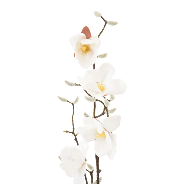 FLOR SUMAUMA