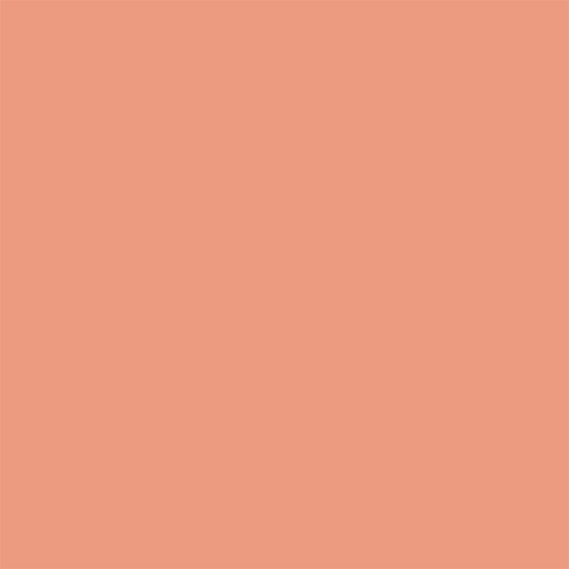 Peinture pour murs Colorissim fard à joues mat 2,5 L V33