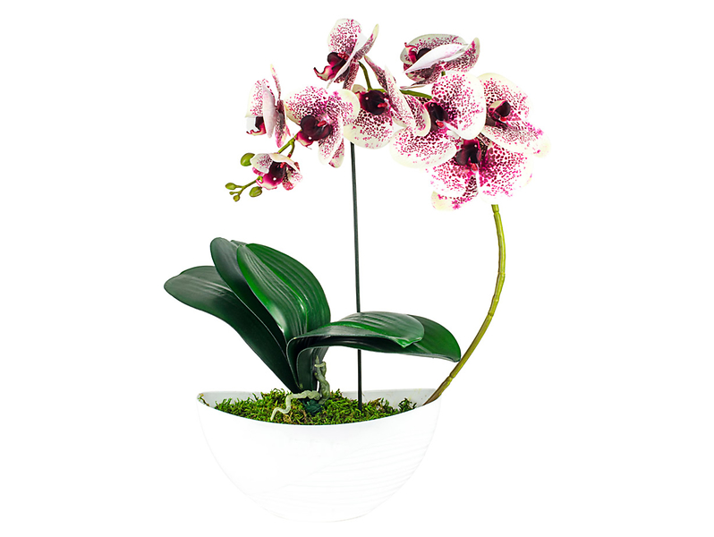 Sztuczny storczyk w doniczce 49 cm mix kolorów