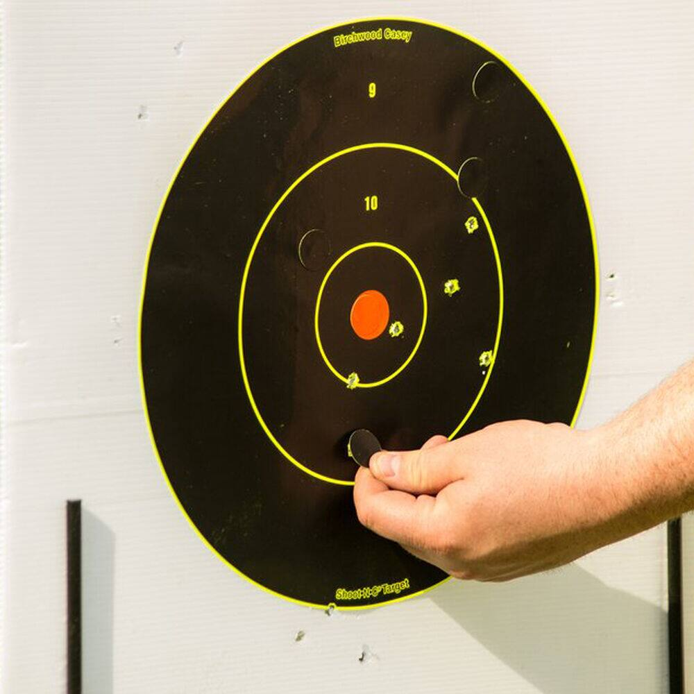Birchwood Casey Shoot-N-C® Bull's Eye Shooting Target, 8-in