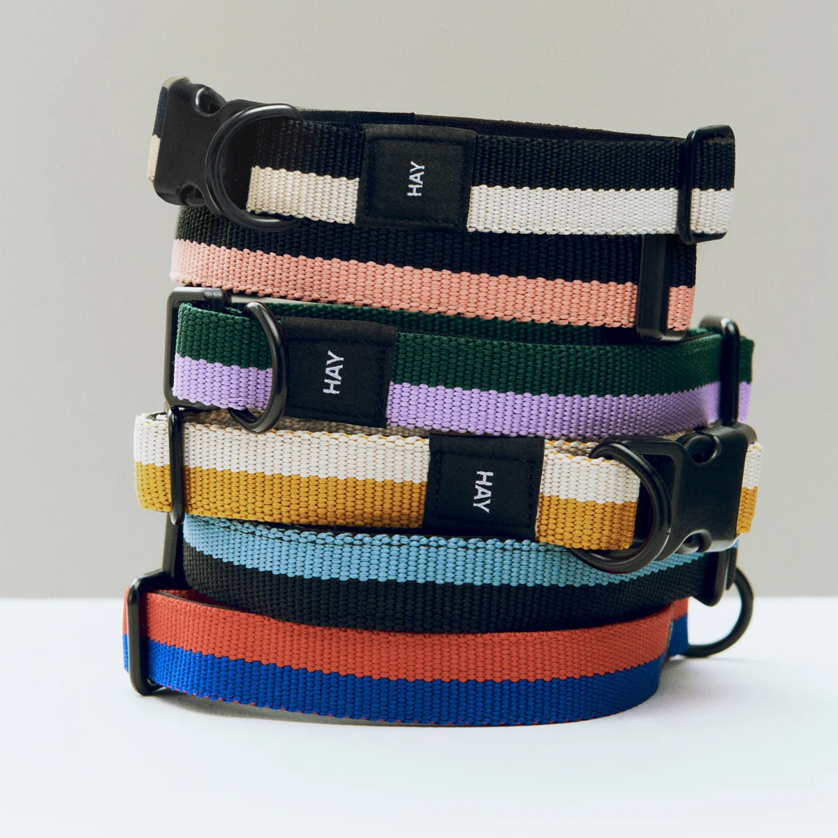 HAY - Dogs Hundehalsband