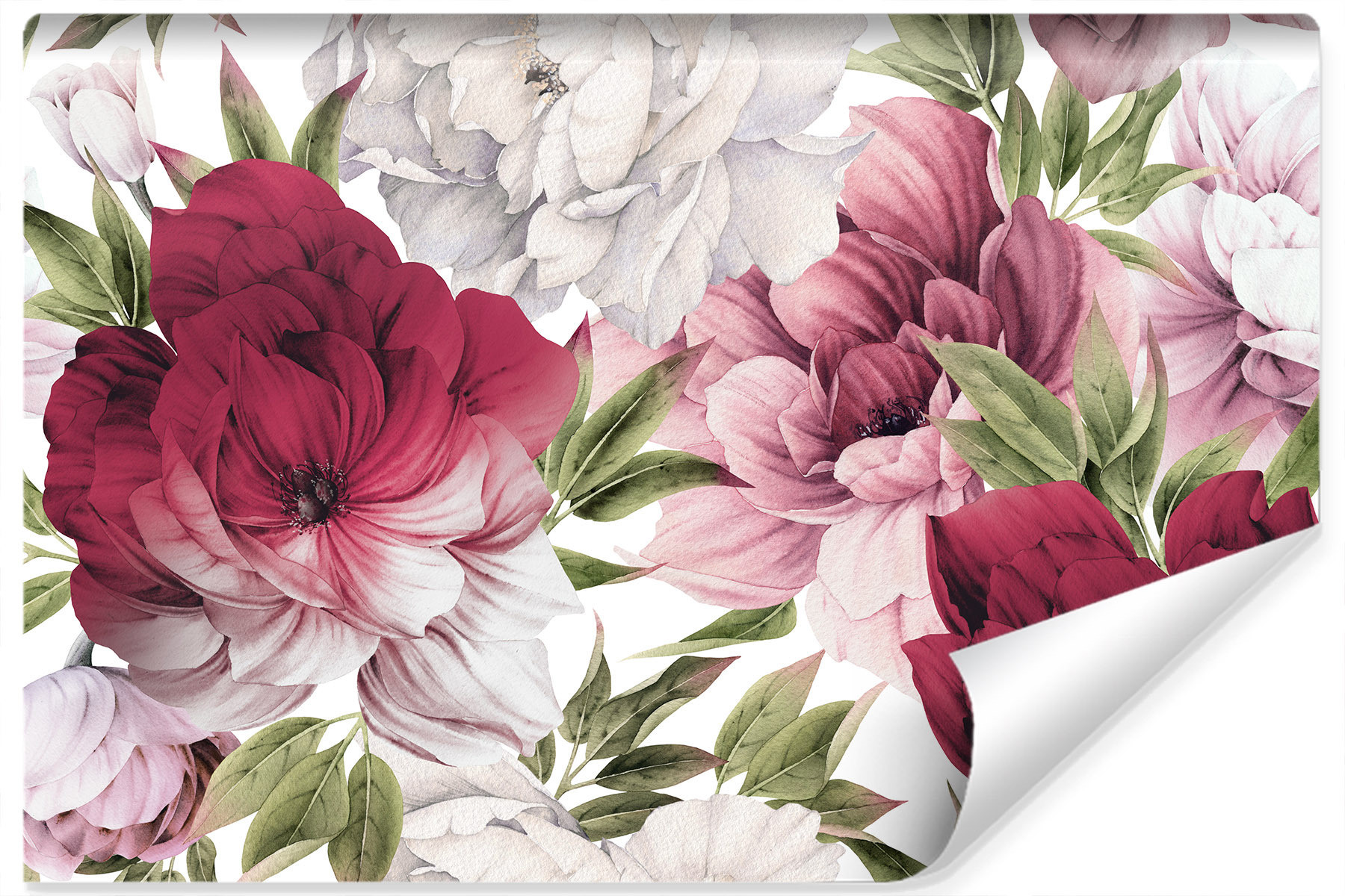 Fototapeta Delikatne Różowe PEONIE Kwiaty 90x60cm