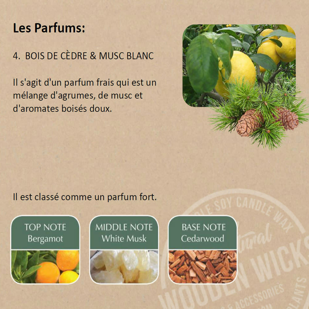 - Bougie éco responsable musc blanc heart and home