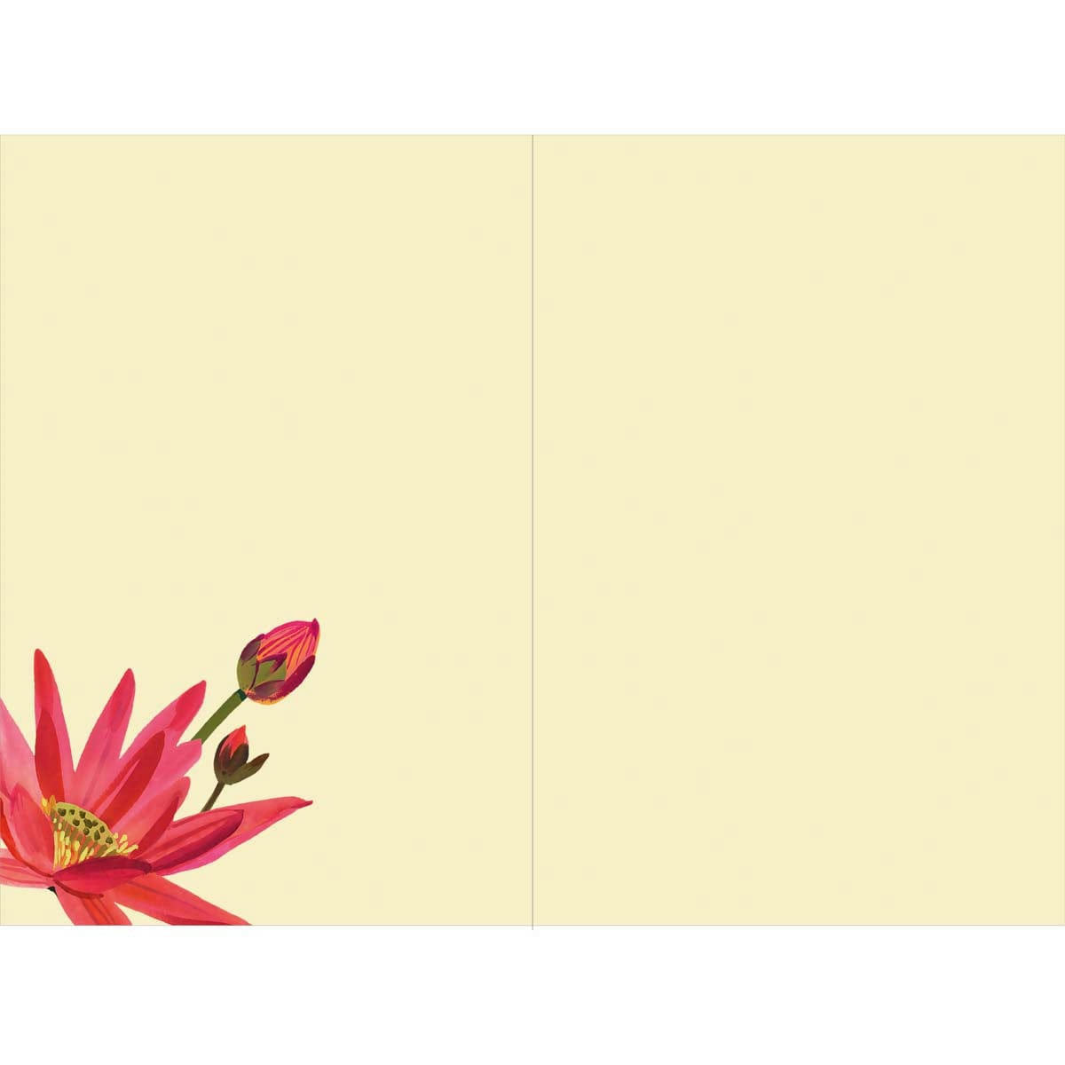 - Carte de voeux merci