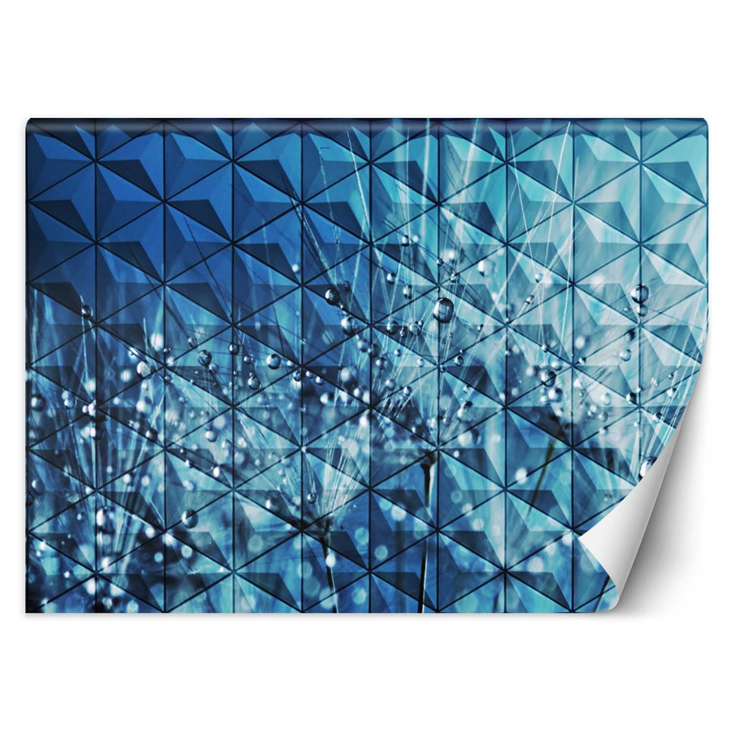 Feeby Fototapeta, Krople rosy na dmuchawcu 150x105