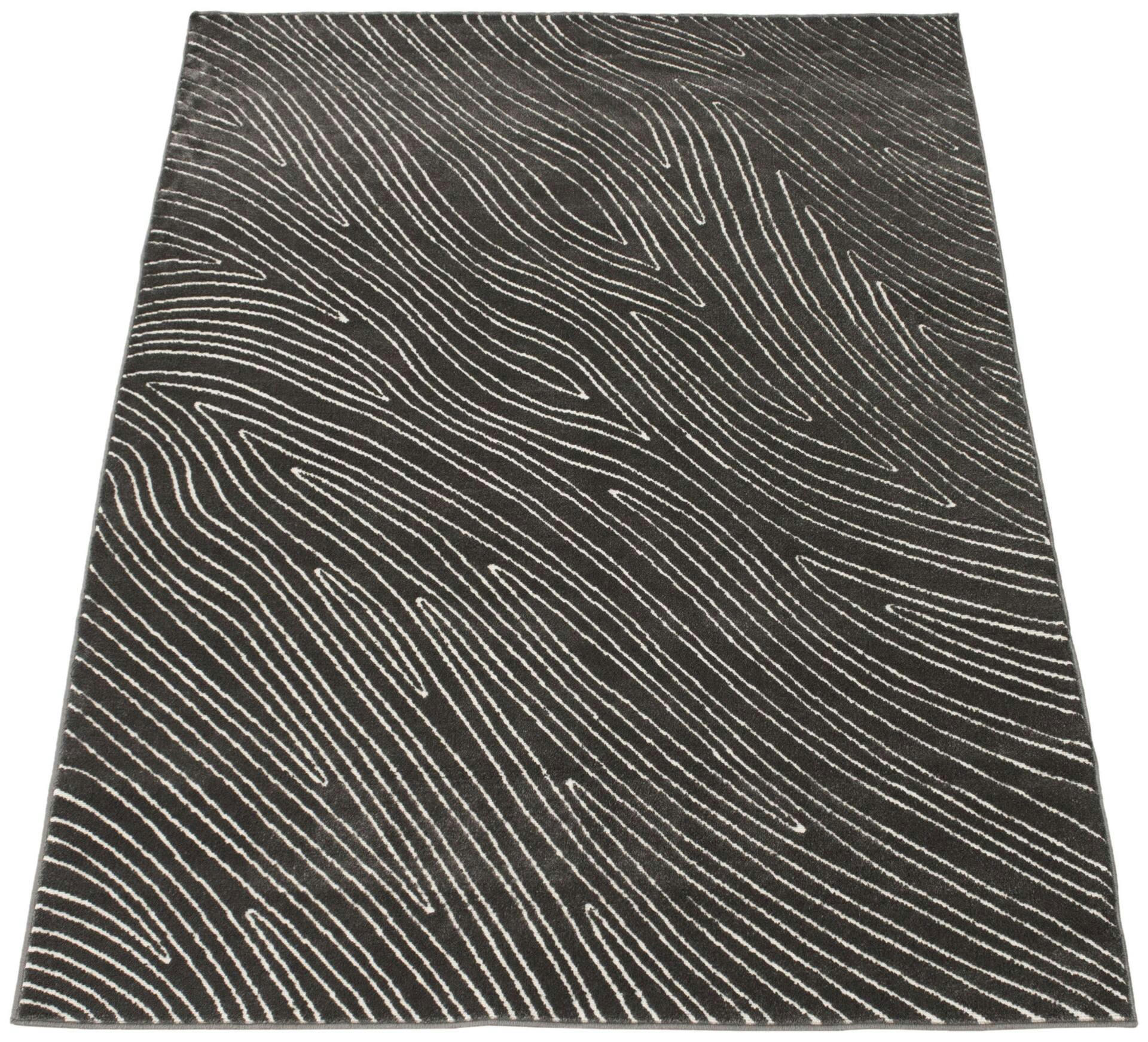 ECARPET Vector Indoor Area Rug, Grey, Assorted Sizes