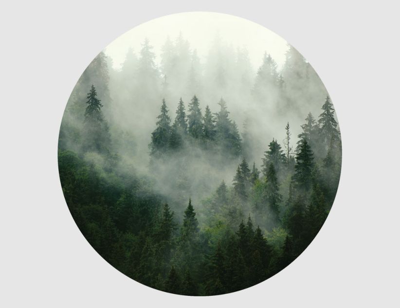 Wandtattoo Wald Rund