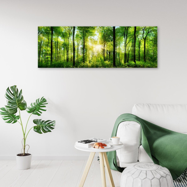 Feeby Obraz Promienie słońca w lesie natura zielony 90x30