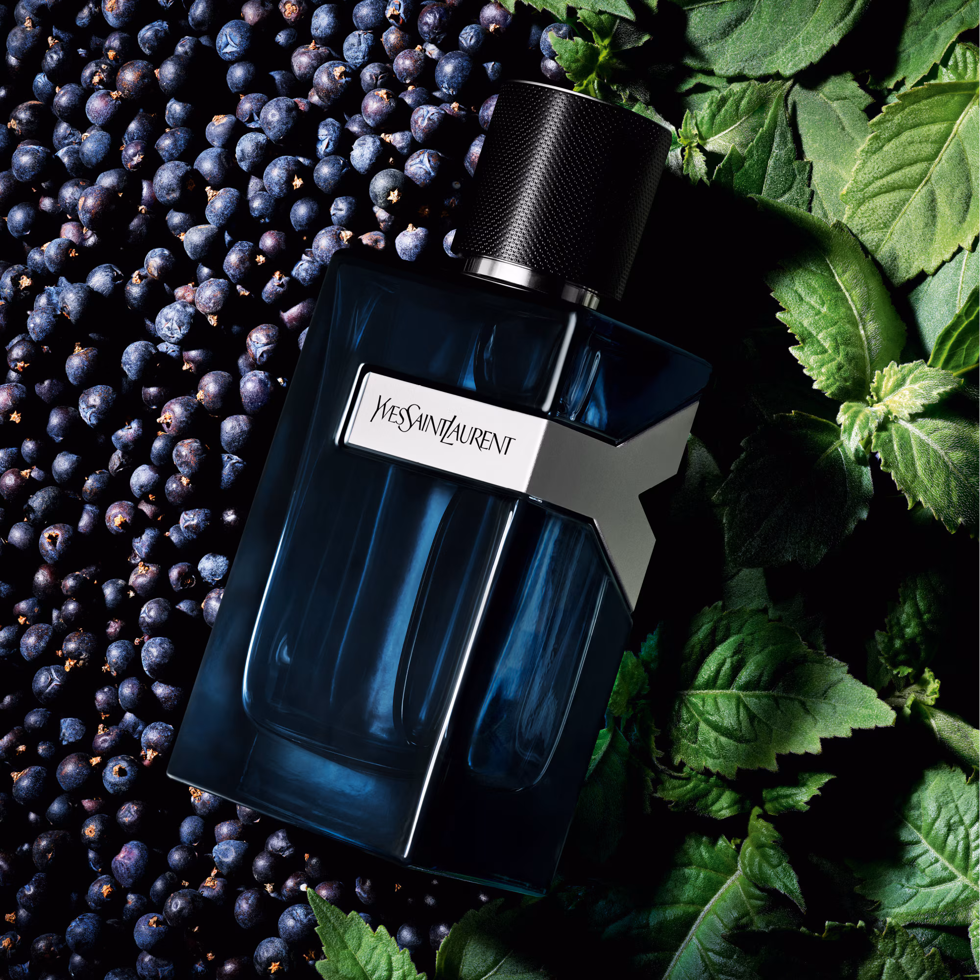 YEau de parfum intense