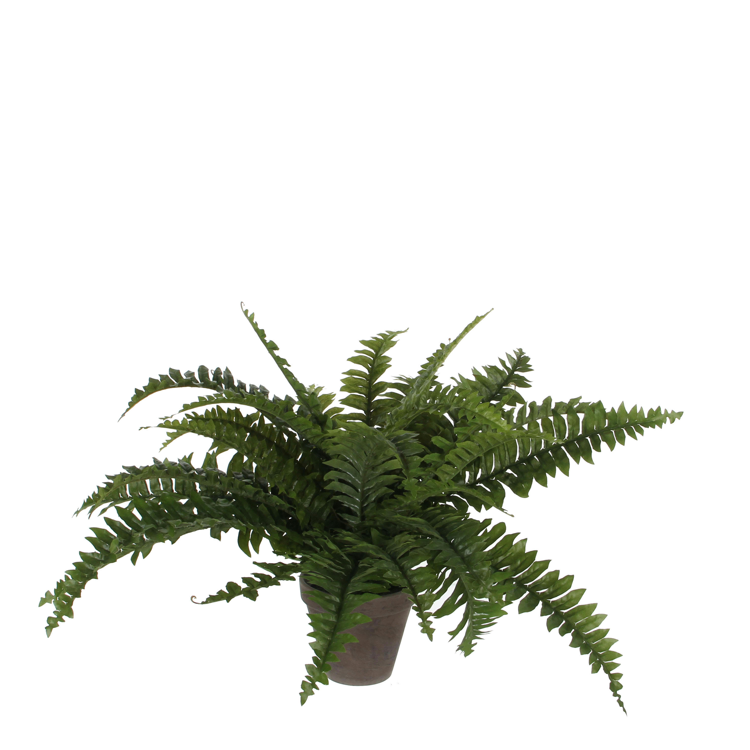 - Fougère artificielle en pot H42