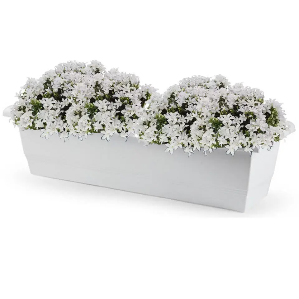 Forte Plastics Plantenbak - wit - rechthoekig - 60 x 20 x 16 cm