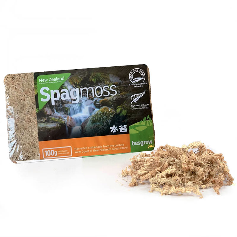 Sphagnummossa 100 gram