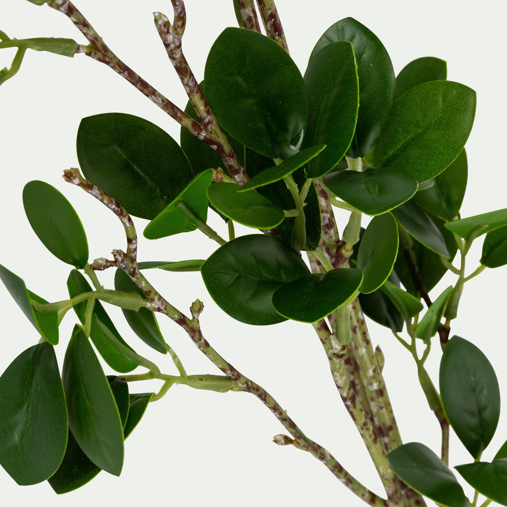 LAURIER - Branche artificielle de laurier - vert H70cm