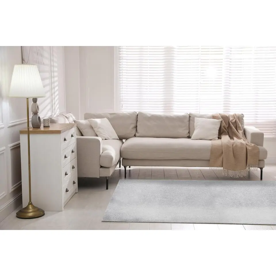 Dutch Lifestyle - Polypropyleen - Vloerkleed - 230x160cm - Grijs