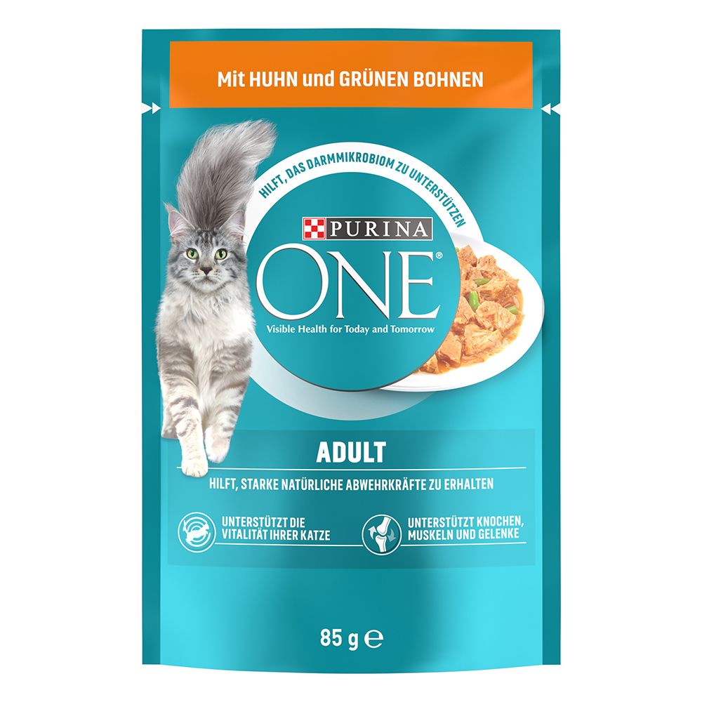 PURINA ONE Adult