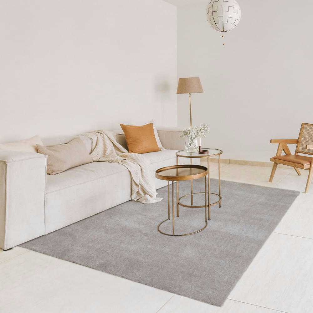 DOUGLAS II - Tapis lavable en machine gris clair 80x150cm